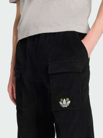 Повседневные штаны Adidas Graphics модель JY3003 Повседневные штаны Adidas Graphics модель JY3003 Фото