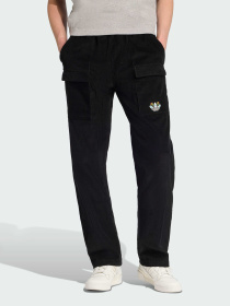 Повседневные штаны Adidas Graphics модель JY3003 Фото