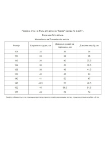 Вишиванки MEREZHKA модель rd580 Вишиванки MEREZHKA модель rd580 Фото