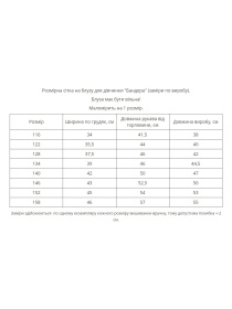 Вишиванки MEREZHKA модель rd583 Фото