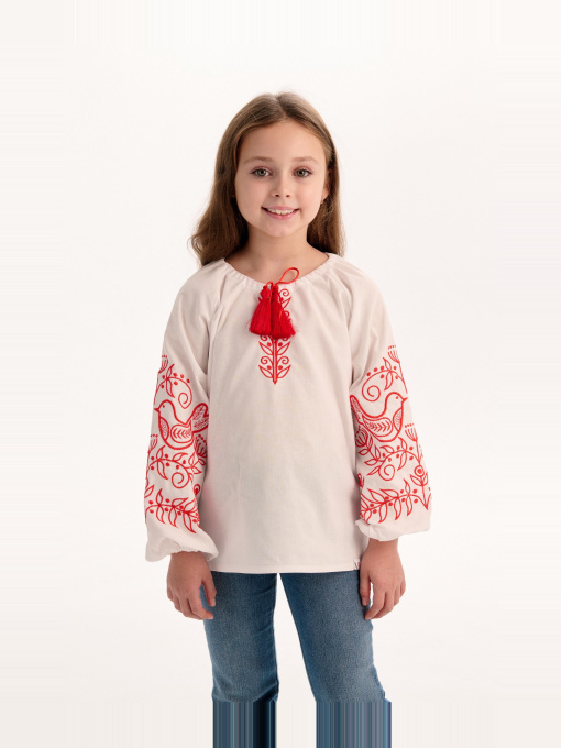 Вишиванки MEREZHKA модель rd763 Фото