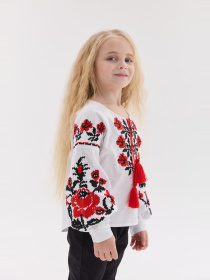 Вышиванки MEREZHKA модель rd862 Фото