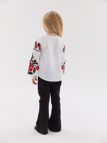 Вишиванки MEREZHKA модель rd862 Фото