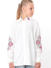 Вишита сорочка Носи своє Модель 6417-070-22-2-blij Фото