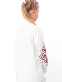 Вишита сорочка Носи своє Модель 6417-070-22-2-blij Фото