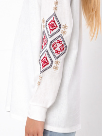 Вишита сорочка Носи своє Модель 6417-070-22-2-blij Фото