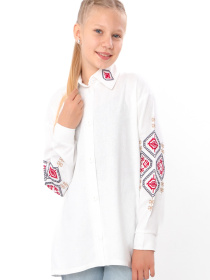 Вышитая рубашка Носи своє модель 6417-070-22-2-blij Фото