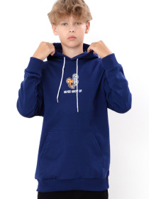 Худи Носи своє модель 6394-057-33-1-sapfrovij-never Фото