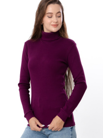 Водолазка Носи своє модель 8047-019-1-baklazhan Фото