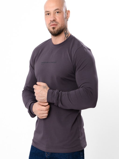 Лонгслив Носи своє модель 8631-036-33-nzhir-run Фото