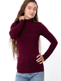 Водолазка Носи своє модель 8047-036-marsala Фото