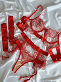 Комплект білизни Nova Vega модель 109-DO2932.1 Фото