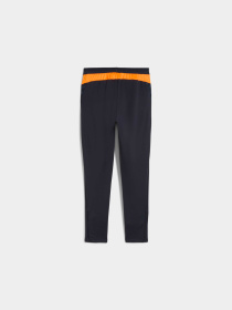 Штаны спортивные PUMA Individualcup Training Pants модель 660250 Фото