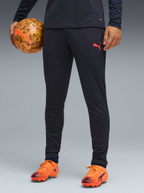 Штаны спортивные PUMA Individualcup Training Pants модель 660250 Фото