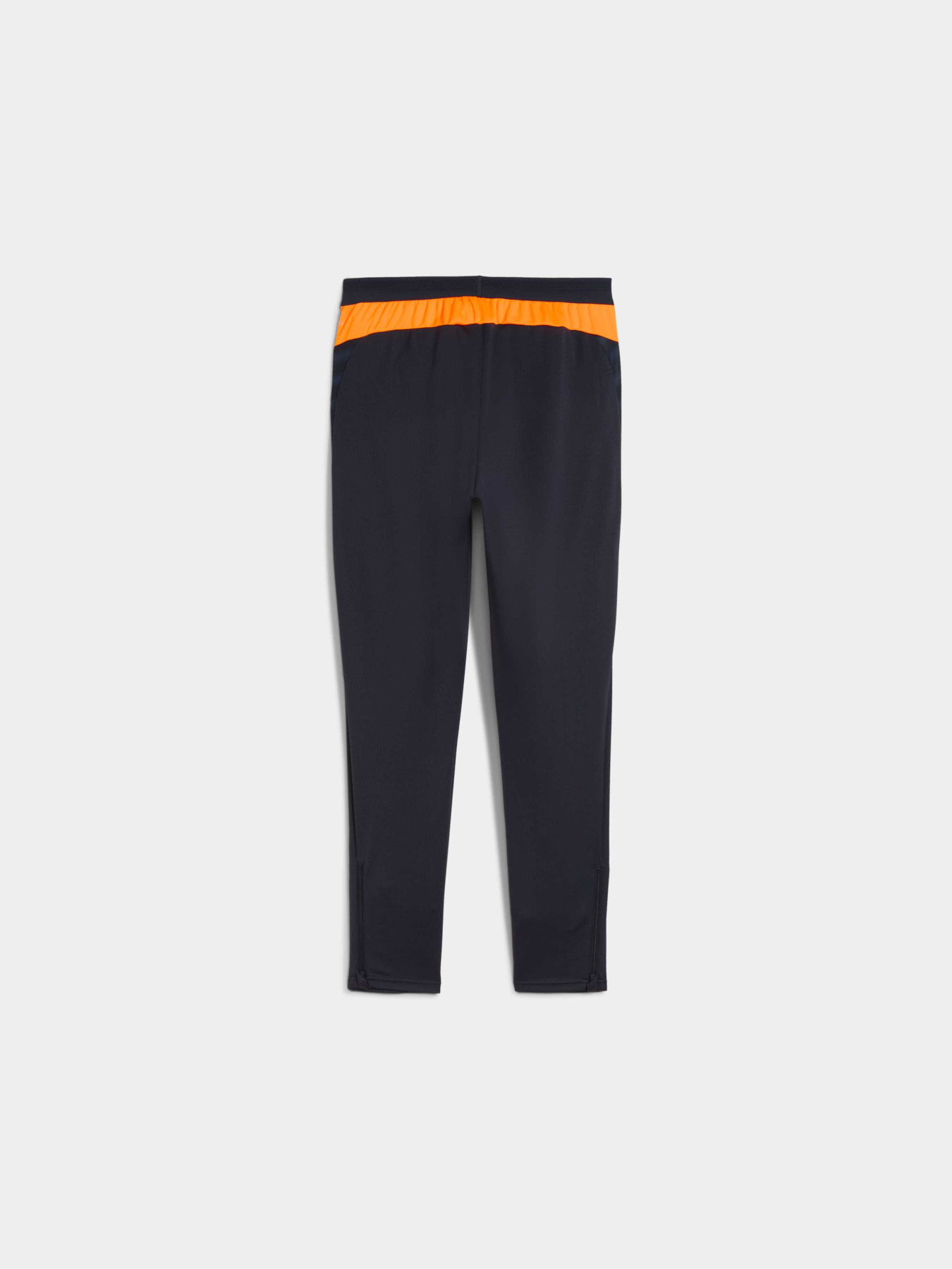 Штаны спортивные PUMA Individualcup Training Pants модель 660250 Фото