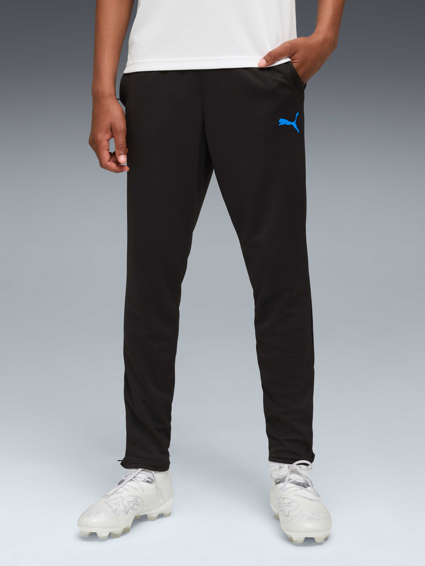 Штаны спортивные PUMA Individualcup Trg Pants Jr модель 660251 Фото