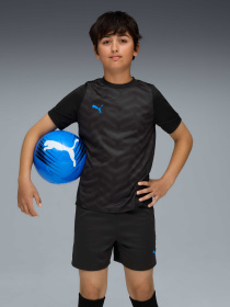 Футболки и поло PUMA Individualcup Jersey Jr модель 660245 Фото