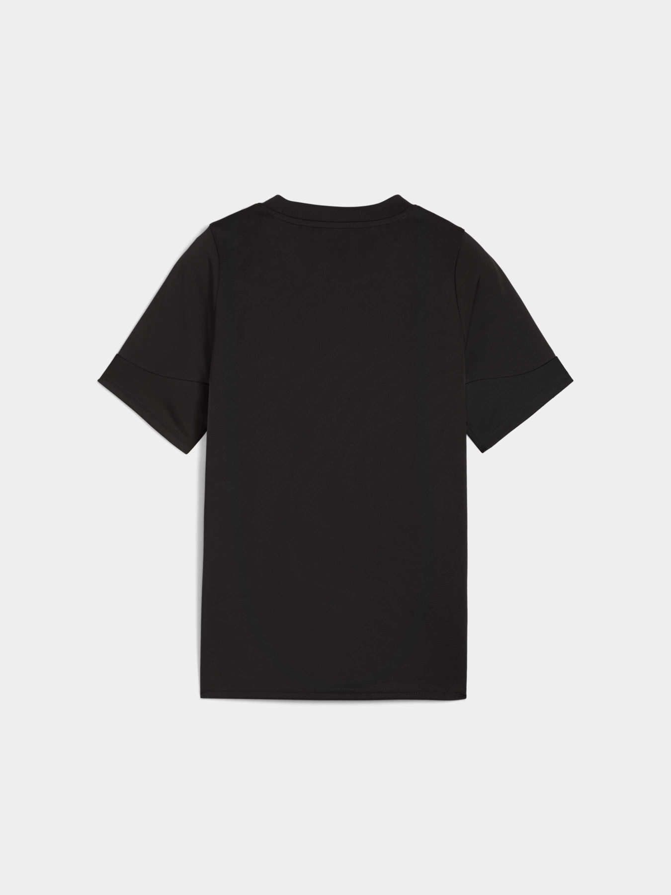 Футболки и поло PUMA Individualcup Jersey Jr модель 660245 Футболки и поло PUMA Individualcup Jersey Jr модель 660245 Фото