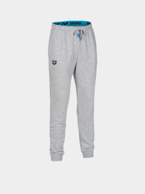 Штани спортивні Arena модель 004908-550 Фото