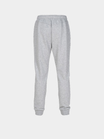 Штани спортивні Arena модель 004908-550 Фото