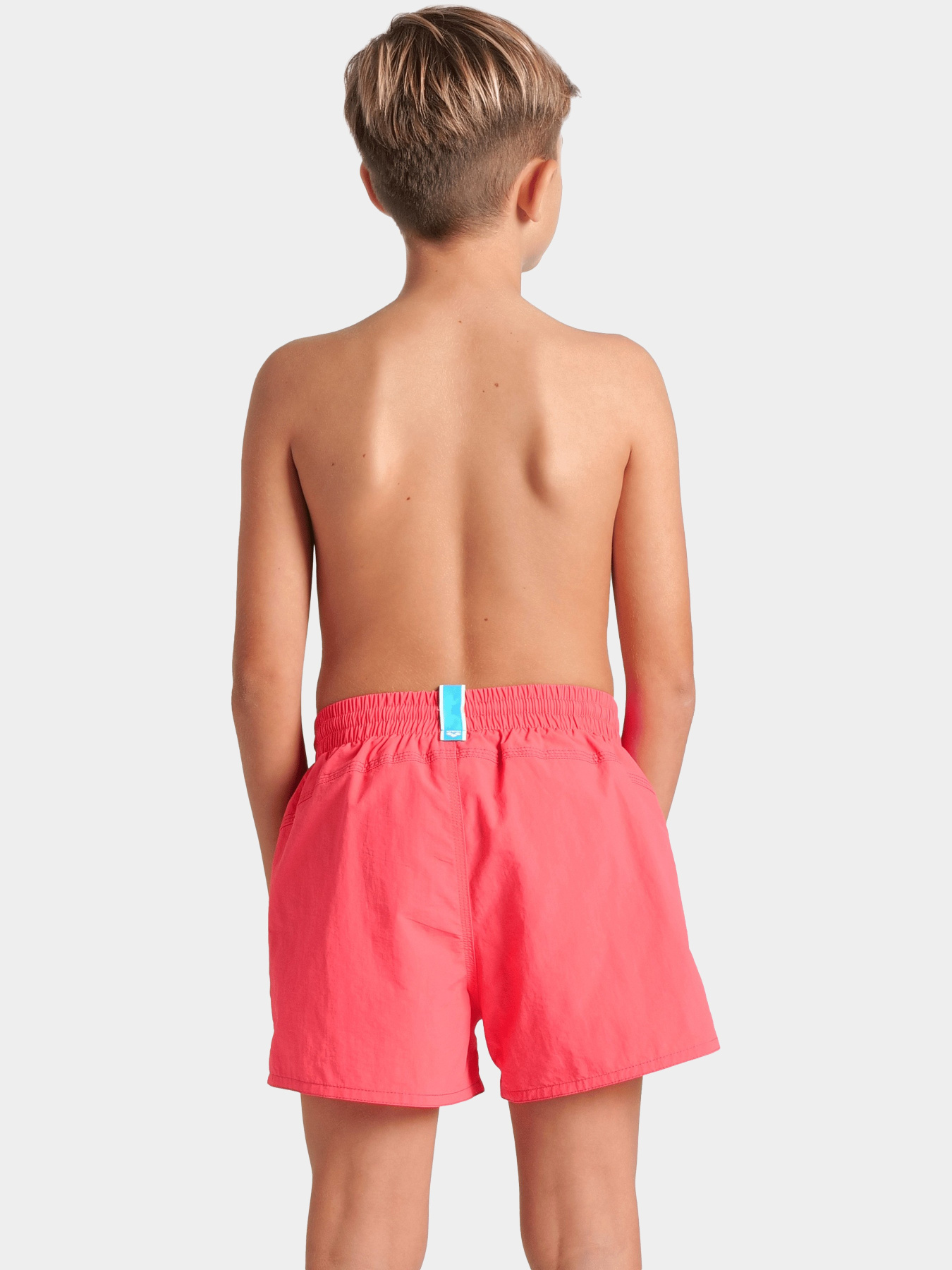 Шорти для плавання Arena модель 006445-992 Фото