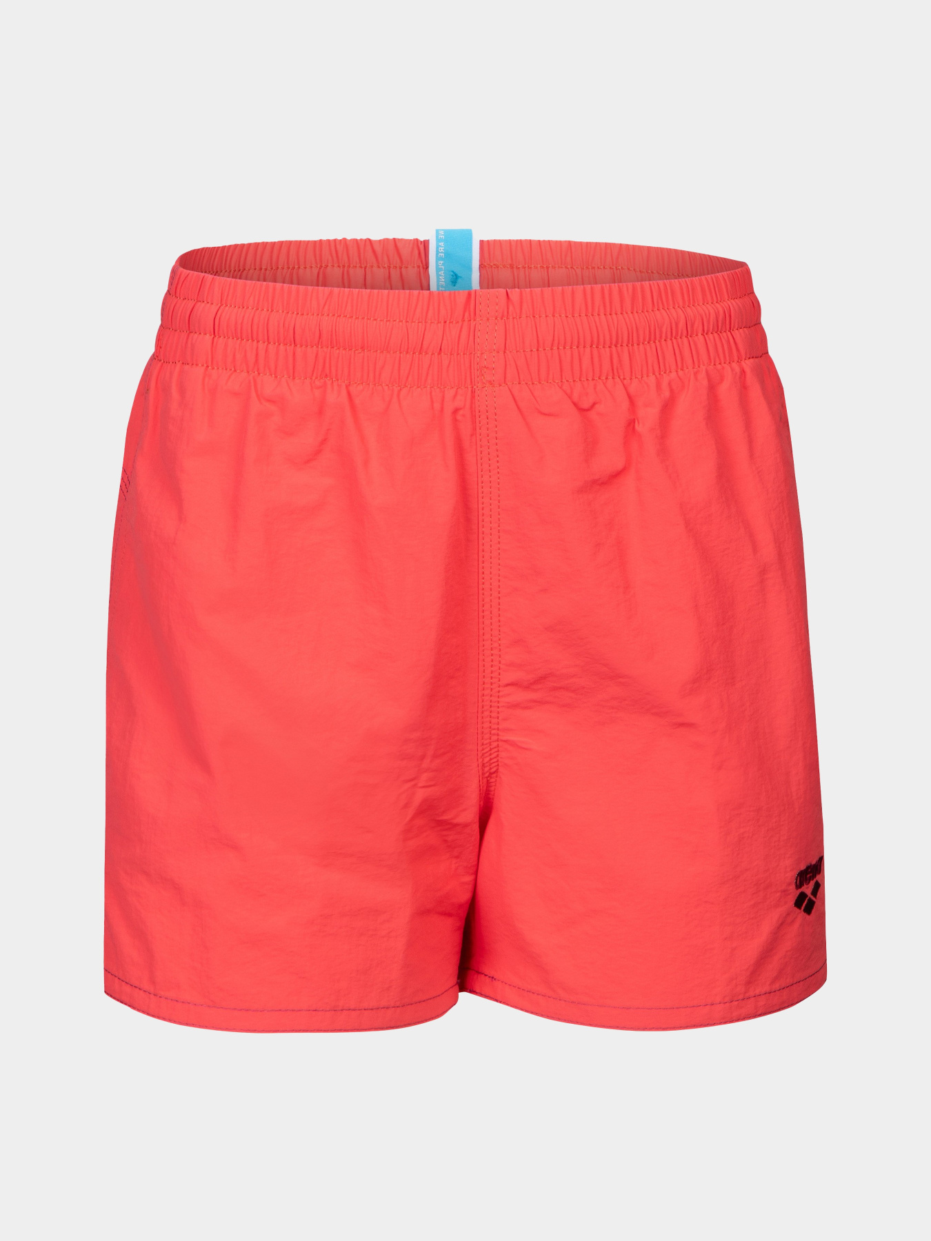 Шорти для плавання Arena модель 006445-992 Фото