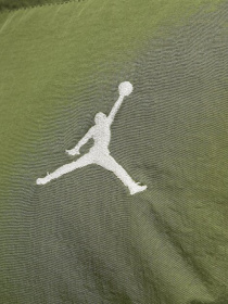 Зимняя куртка Jordan Ess Stmt Down Parka модель FB7313-340 Фото