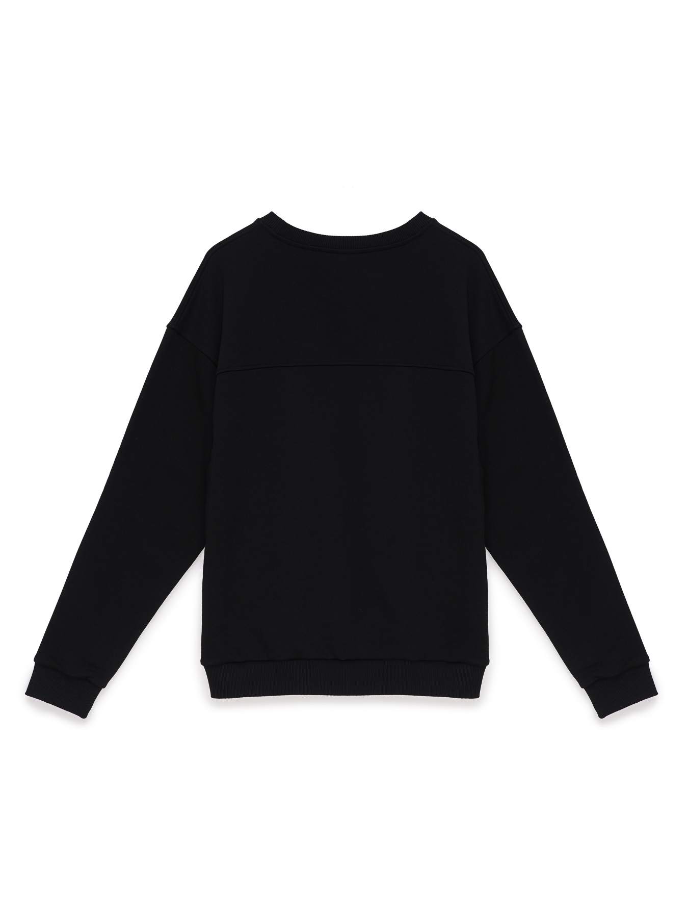 Свитшот Chikiss модель CMS001-010 Фото