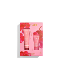 Набір Vinohydra Sorbet Cream Caudalie Set 2025 CAUDALIE модель 519 Фото