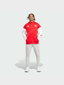 Спортивная кофта Adidas ZNE модель JM9409 Фото