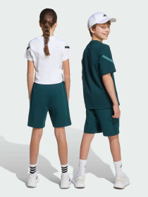 Повсякденні шорти Adidas ZNE модель JW2413 Фото