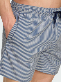 Шорты для плавания Adidas модель JX2674 Фото