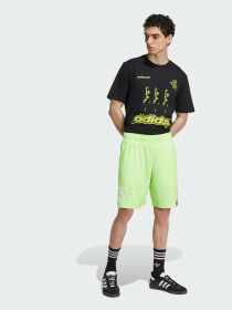 Футболка Adidas Graphics модель JW2954 Фото