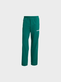 Брюки повседневные Adidas модель JX3055 Фото