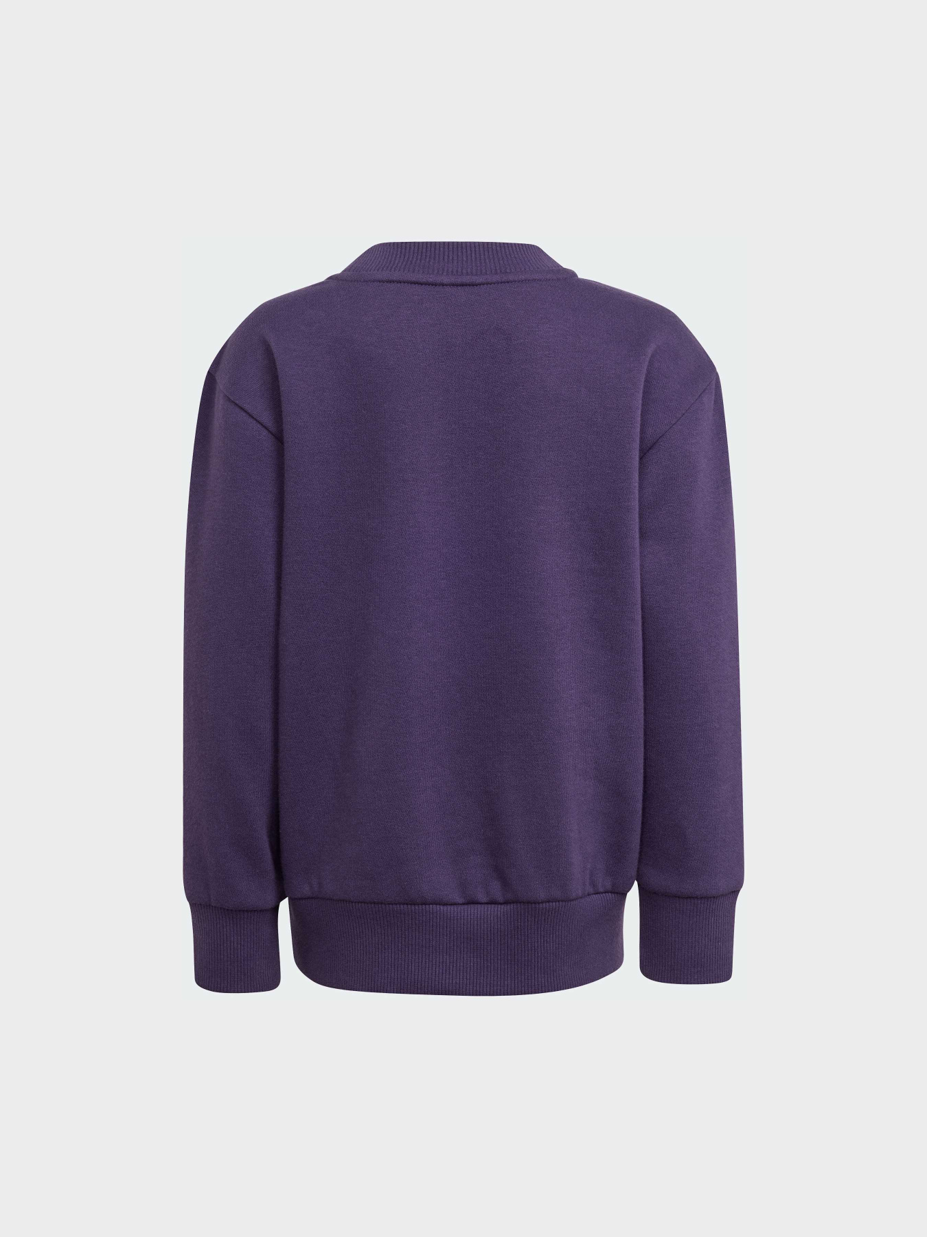 Спортивний костюм Adidas модель JW2439 Фото