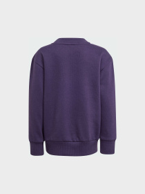 Спортивний костюм Adidas модель JW2439 Фото