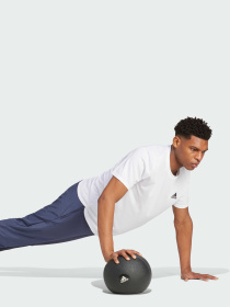 Штаны спортивные Adidas 3 Stripes модель IW5909 Штаны спортивные Adidas 3 Stripes модель IW5909 Фото