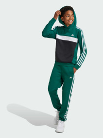 Худі Adidas 3 Stripes модель IY1786 Фото