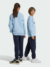 Спортивный костюм Adidas модель IY5429 Фото