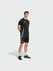 Шорты спортивные Adidas модель JI5276 Фото