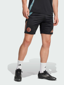 Шорты спортивные Adidas модель JI5276 Фото