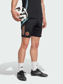 Шорты спортивные Adidas модель JI5276 Фото