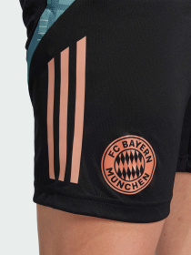 Шорты спортивные Adidas модель JI5276 Фото