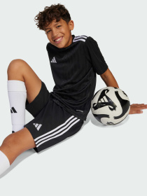 Спортивні шорти Adidas модель JN7170 Фото