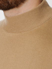 Водолазка Arber модель AO10.61.30 Фото