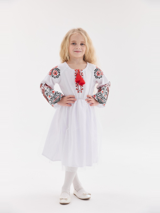 Вишита сукня MEREZHKA модель ksd071 Фото