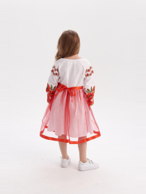 Вишита сукня MEREZHKA модель ksd574 Фото