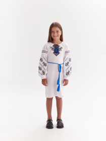 Вышитое платье MEREZHKA модель ksd629 Фото