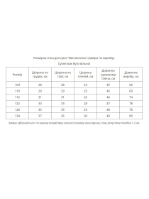 Вишита сукня MEREZHKA модель ksd794 Фото