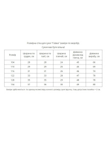 Вишита сукня MEREZHKA модель ksd795 Фото